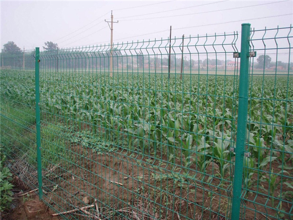 双边丝护栏网,双边丝护栏网厂家,双边丝护栏网规格